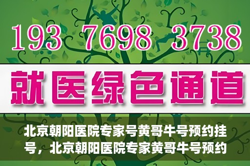北京朝阳医院专家号黄哥牛号预约挂号，北京朝阳医院专家黄哥牛号预约挂号攻略，专业医疗资源的便捷通道