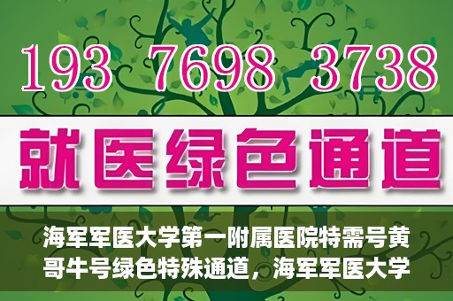 海军军医大学第一附属医院特需号黄哥牛号绿色特殊通道，海军军医大学第一附属医院特需号黄哥牛号绿色通道，专属医疗服务的探索与实践