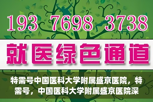 特需号中国医科大学附属盛京医院，特需号，中国医科大学附属盛京医院深度医疗解析
