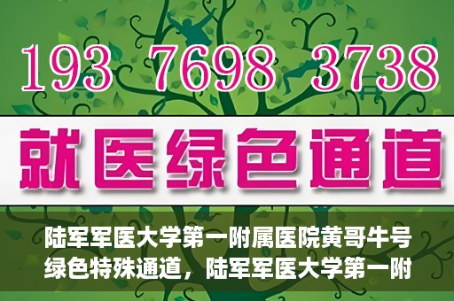 陆军军医大学第一附属医院黄哥牛号绿色特殊通道，陆军军医大学第一附属医院黄哥牛号，绿色特殊通道开启健康之门