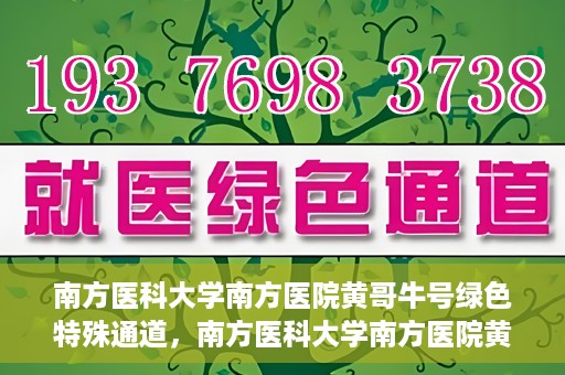 南方医科大学南方医院黄哥牛号绿色特殊通道，南方医科大学南方医院黄哥牛号，绿色特殊通道开启健康之门