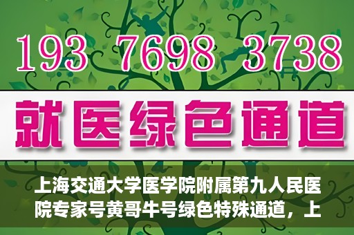 上海交通大学医学院附属第九人民医院专家号黄哥牛号绿色特殊通道，上海交通大学医学院附属第九人民医院专家号黄哥牛号，绿色特殊通道开启健康之门