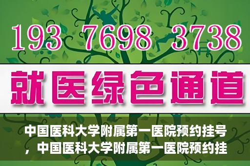 中国医科大学附属第一医院预约挂号，中国医科大学附属第一医院预约挂号指南，一站式解决您的就医难题