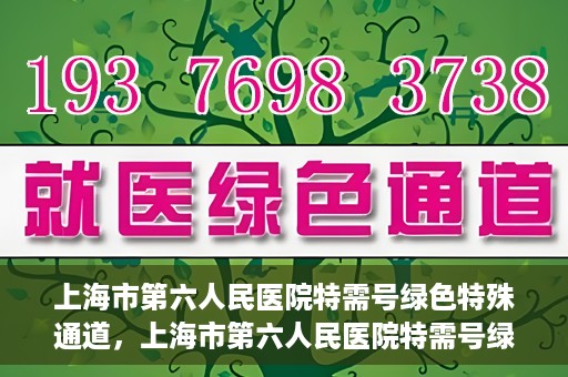 上海市第六人民医院特需号绿色特殊通道，上海市第六人民医院特需号绿色通道，打造高品质医疗服务体验