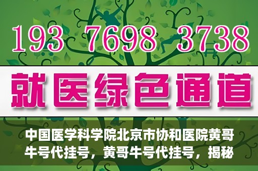 中国医学科学院北京市协和医院黄哥牛号代挂号，黄哥牛号代挂号，揭秘中国医学科学院北京市协和医院挂号背后的故事