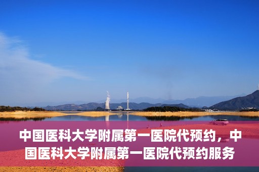 中国医科大学附属第一医院代预约，中国医科大学附属第一医院代预约服务详解