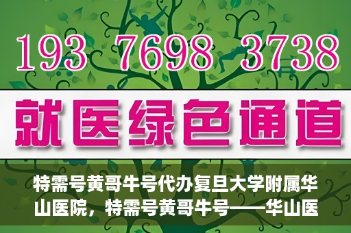 特需号黄哥牛号代办复旦大学附属华山医院，特需号黄哥牛号——华山医院代办服务详解