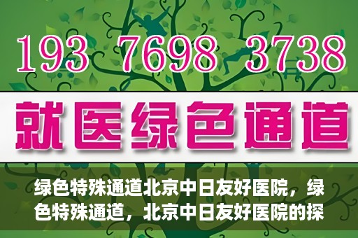 绿色特殊通道北京中日友好医院，绿色特殊通道，北京中日友好医院的探索与实践