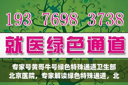 专家号黄哥牛号绿色特殊通道卫生部北京医院，专家解读绿色特殊通道，北京医院卫生部黄哥牛号解析