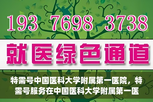 特需号中国医科大学附属第一医院，特需号服务在中国医科大学附属第一医院全面升级启动