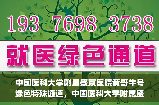 中国医科大学附属盛京医院黄哥牛号绿色特殊通道，中国医科大学附属盛京医院黄哥牛号，绿色特殊通道开启健康之门
