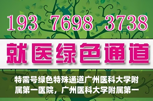 特需号绿色特殊通道广州医科大学附属第一医院，广州医科大学附属第一医院特需号绿色特殊通道，打造高品质医疗服务体验