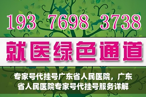 专家号代挂号广东省人民医院，广东省人民医院专家号代挂号服务详解