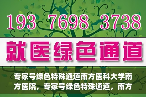 专家号绿色特殊通道南方医科大学南方医院，专家号绿色特殊通道，南方医科大学南方医院的医疗特权与优势解析