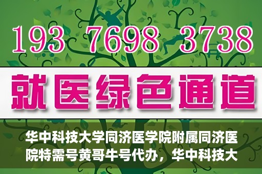 华中科技大学同济医学院附属同济医院特需号黄哥牛号代办，华中科技大学同济医院特需号专家黄哥牛号预约代办服务解析