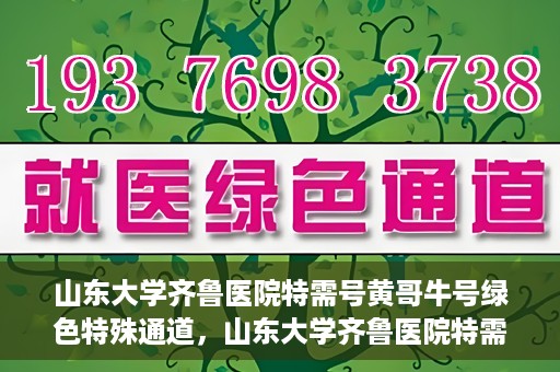 山东大学齐鲁医院特需号黄哥牛号绿色特殊通道，山东大学齐鲁医院特需号黄哥牛号，绿色就医通道揭秘