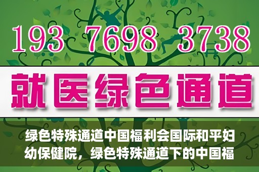 绿色特殊通道中国福利会国际和平妇幼保健院，绿色特殊通道下的中国福利会国际和平妇幼保健院，守护母婴健康的温馨港湾