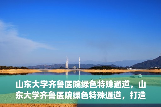 山东大学齐鲁医院绿色特殊通道，山东大学齐鲁医院绿色特殊通道，打造健康新通道，引领医疗新时代