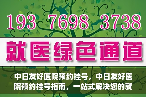 中日友好医院预约挂号，中日友好医院预约挂号指南，一站式解决您的就医预约难题