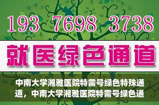 中南大学湘雅医院特需号绿色特殊通道，中南大学湘雅医院特需号绿色通道，打造优质医疗体验的新通道