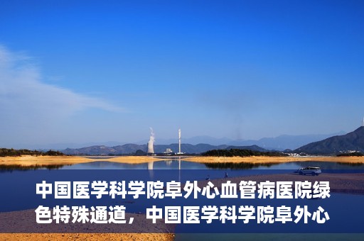 中国医学科学院阜外心血管病医院绿色特殊通道，中国医学科学院阜外心血管病医院开通绿色特殊通道，助力患者快速康复之路