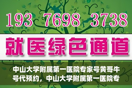 中山大学附属第一医院专家号黄哥牛号代预约，中山大学附属第一医院专家号预约服务解析，黄哥牛号预约攻略揭秘