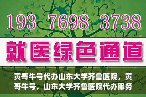 黄哥牛号代办山东大学齐鲁医院，黄哥牛号，山东大学齐鲁医院代办服务解析