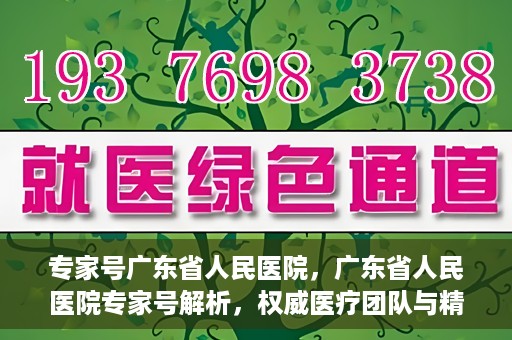 专家号广东省人民医院，广东省人民医院专家号解析，权威医疗团队与精准诊疗服务