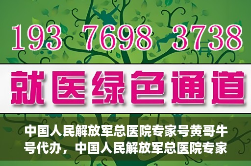 中国人民解放军总医院专家号黄哥牛号代办，中国人民解放军总医院专家号代办服务揭秘，黄哥牛号助您轻松预约专家资源