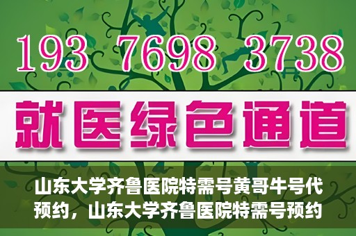 山东大学齐鲁医院特需号黄哥牛号代预约，山东大学齐鲁医院特需号预约服务解析，黄哥牛号代预约揭秘