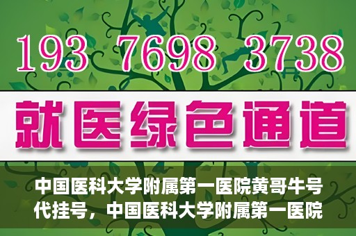 中国医科大学附属第一医院黄哥牛号代挂号，中国医科大学附属第一医院黄哥牛号代挂号服务详解