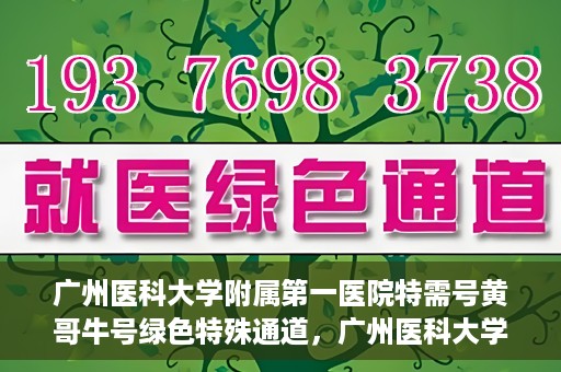 广州医科大学附属第一医院特需号黄哥牛号绿色特殊通道，广州医科大学附属第一医院特需号黄哥牛号，绿色特殊通道的独家揭秘
