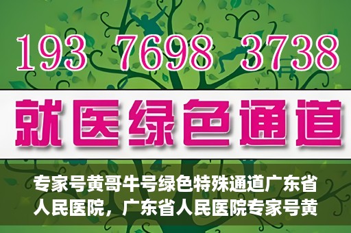 专家号黄哥牛号绿色特殊通道广东省人民医院，广东省人民医院专家号黄哥牛号开启绿色特殊通道，助力健康广东建设。
