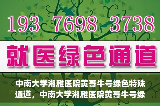 中南大学湘雅医院黄哥牛号绿色特殊通道，中南大学湘雅医院黄哥牛号绿色特殊通道，医疗服务的创新实践与人文关怀的体现
