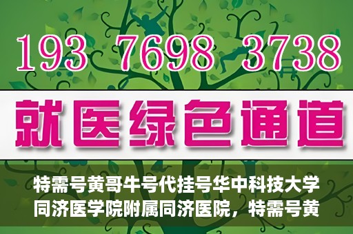 特需号黄哥牛号代挂号华中科技大学同济医学院附属同济医院，特需号黄哥牛号同济医院代挂号揭秘，同济医院就医攻略