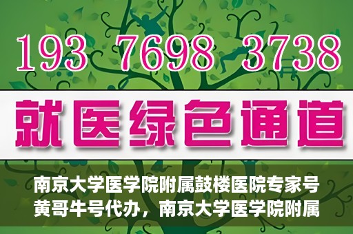 南京大学医学院附属鼓楼医院专家号黄哥牛号代办，南京大学医学院附属鼓楼医院专家号代办服务解析，黄哥牛号代办揭秘