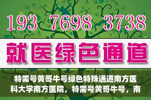 特需号黄哥牛号绿色特殊通道南方医科大学南方医院，特需号黄哥牛号，南方医科大学南方医院开启绿色特殊通道