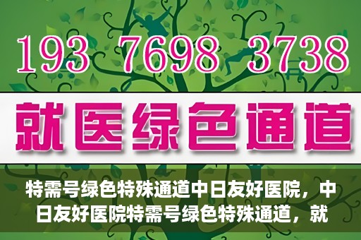 特需号绿色特殊通道中日友好医院，中日友好医院特需号绿色特殊通道，就医新体验