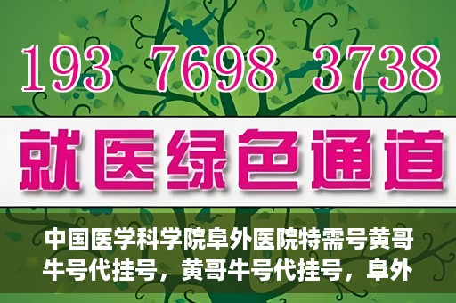 中国医学科学院阜外医院特需号黄哥牛号代挂号，黄哥牛号代挂号，阜外医院特需号的权威解读与预约指南