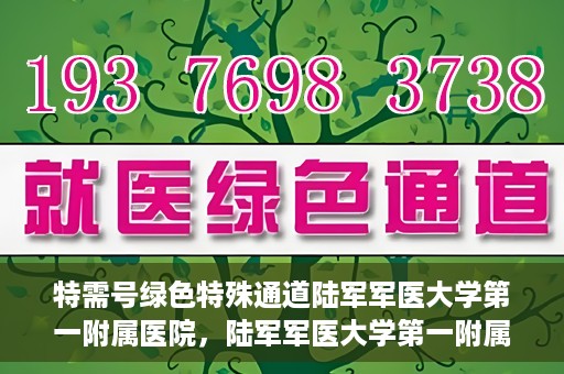 特需号绿色特殊通道陆军军医大学第一附属医院，陆军军医大学第一附属医院特需号绿色特殊通道，医疗服务的特殊通道与高效体验