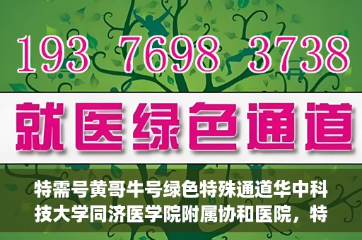 特需号黄哥牛号绿色特殊通道华中科技大学同济医学院附属协和医院，特需号黄哥牛号，华中科技大学同济医学院附属协和医院开辟绿色特殊通道