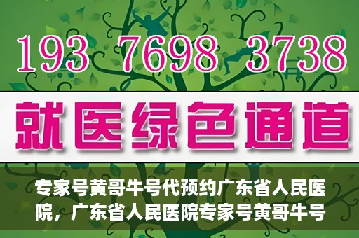 专家号黄哥牛号代预约广东省人民医院，广东省人民医院专家号黄哥牛号预约服务解析