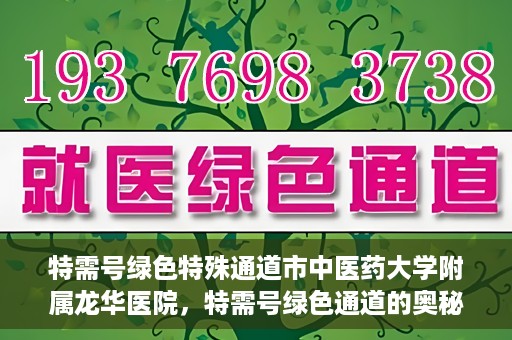 特需号绿色特殊通道市中医药大学附属龙华医院，特需号绿色通道的奥秘，市中医药大学附属龙华医院的医疗特色与优势