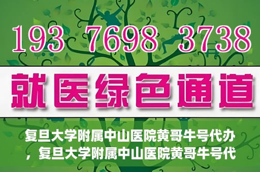 复旦大学附属中山医院黄哥牛号代办，复旦大学附属中山医院黄哥牛号代办，权威医疗资源的深度解读与便捷服务体验