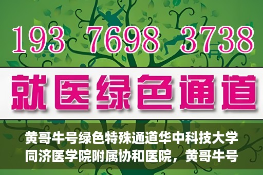 黄哥牛号绿色特殊通道华中科技大学同济医学院附属协和医院，黄哥牛号开启绿色特殊通道，华中科技大学同济医学院附属协和医院助力健康中国行动