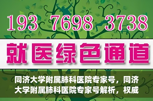 同济大学附属肺科医院专家号，同济大学附属肺科医院专家号解析，权威医疗团队的专业解读与诊疗服务