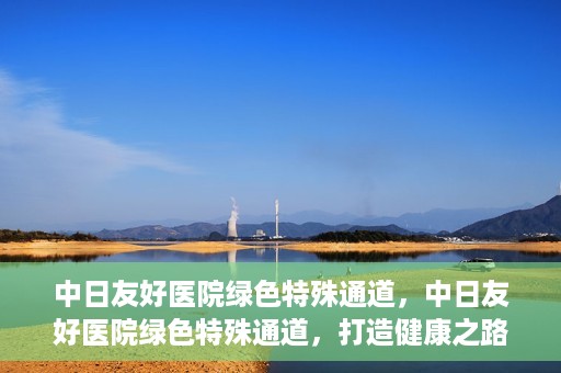 中日友好医院绿色特殊通道，中日友好医院绿色特殊通道，打造健康之路的新篇章