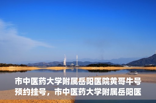 市中医药大学附属岳阳医院黄哥牛号预约挂号，市中医药大学附属岳阳医院黄哥牛号预约挂号攻略