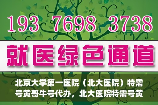 北京大学第一医院（北大医院）特需号黄哥牛号代办，北大医院特需号黄哥牛号代办，深度解析与揭秘