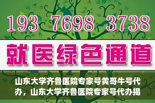 山东大学齐鲁医院专家号黄哥牛号代办，山东大学齐鲁医院专家号代办揭秘，黄哥牛号助您轻松预约专家号